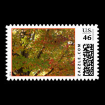 Fall Color stamps
