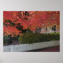 Fall color posters