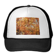 Fall Color Profusion Mesh Hat
