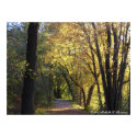 Fall Color Trail Poster posters by MichelleLThompson Fall Color Trail Poster posters