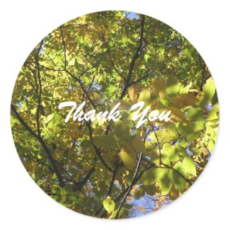 Fall Colored Tree Thank You Stickers sticker