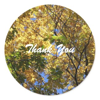 Fall Colored Tree Thank You Stickers sticker