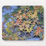 Fall Colors 1 Mouse Pads