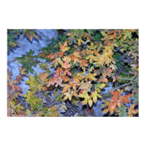Fall Colors 1 posters by JaguarPhotos Fall Colors 1 posters