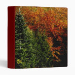 Fall Colors 3 Ring Binders