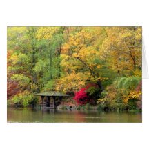 Fall Colors by the Lake Central Park Cards
