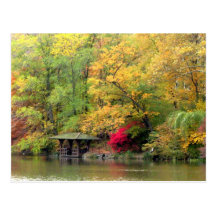 Fall Colors by the Lake Central Park Post Card
