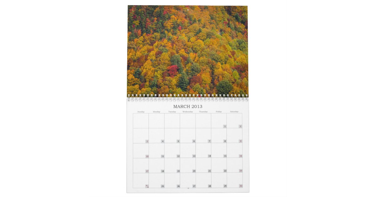 Fall Colors Calendar Zazzle