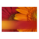 Fall colors gift tags business cards by perfectpostage Fall colors gift tags business cards