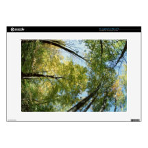 Fall Colors - Great Smoky Mountains - Trees 15" Laptop Skins