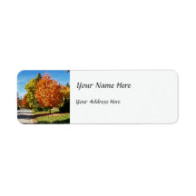Fall Colors in Cincinnati Custom Return Address Label