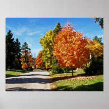 Fall Colors in Cincinnati Poster