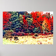 Fall Colors in New England Posters