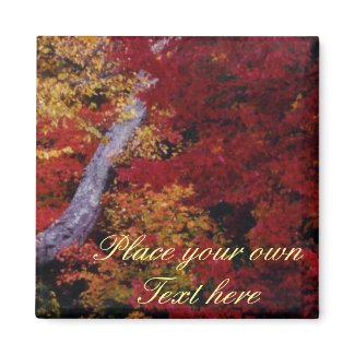 Fall Colors magnet add your own words magnet