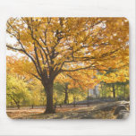 Fall colors mouse pad