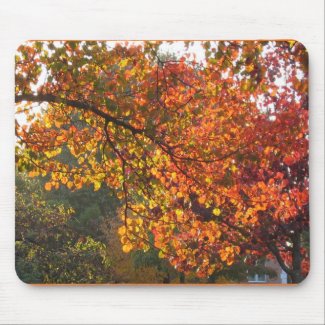 Fall colors mousepad mousepad