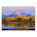 Fall Colors Of Grand Teton National Park cards by TLphoto Fall Colors Of Grand Teton National Park cards