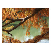 Fall Colors Photo