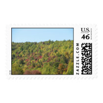 Fall Colors Stamps