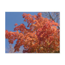 Fall Colors postcards by bkang22 Fall Colors postcards