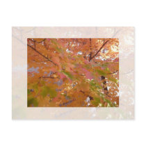 Fall Colors postcards by bkang22 Fall Colors postcards