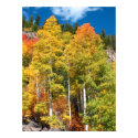 Fall Colors posters