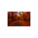 Fall Colors posters