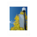 Fall colors posters