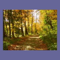 Fall Colors posters