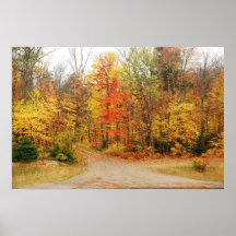 Fall Colors Posters