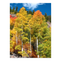 Fall Colors posters by sedanistudio Fall Colors posters