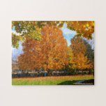 Fall Colors Puzzle puzzles