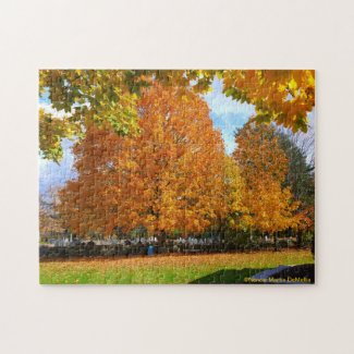 Fall Colors Puzzle