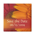 Fall colors - Save the Date magnets by perfectpostage Fall colors - Save the Date magnets