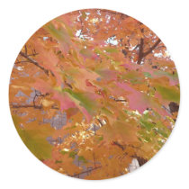 Fall Colors stickers by bkang22 Fall Colors stickers