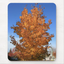 Fall Colours mousepads by Barnabas7 Fall Colours mousepads