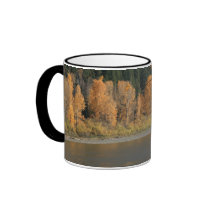 Fall Colours mugs