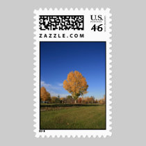 Fall Colours postage