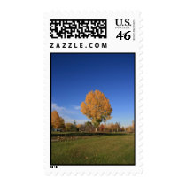Fall Colours postage