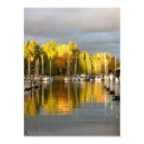 Fall Colours posters