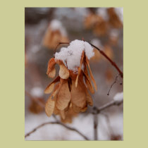 Fall comes to an end posters