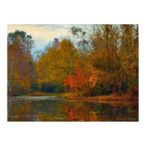 Fall Cornecopia 2 posters