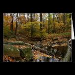 Fall Creek and Reflection Card (Blank Inside)