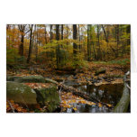 Fall Creek and Reflection Card (Blank Inside)