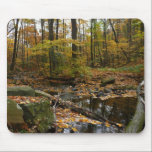 Fall Creek and Reflection Mousepad