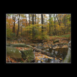 Fall Creek and Reflection Postcard
