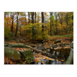 Fall Creek and Reflection Postcard