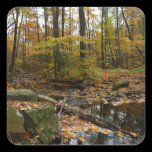 Fall Creek and Reflection Sticker