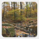 Fall Creek and Reflection Sticker
