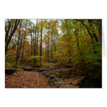Fall Creek at Laurel Hill State Park Card